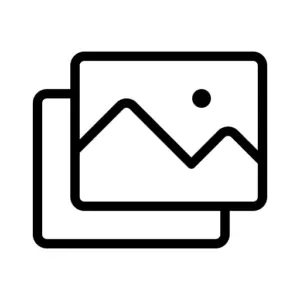 Phosphor images icon, thin weight